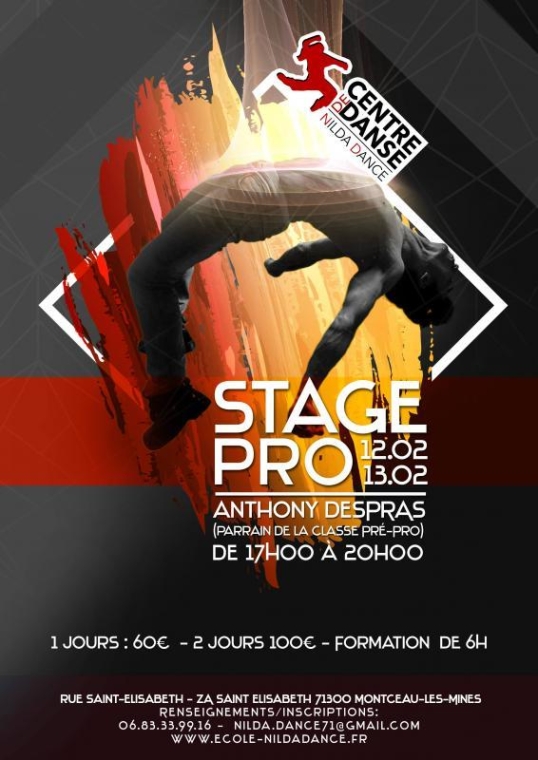 Stage pro avec Anthony Despras 12 & 13 février, Montceau-les-Mines, Centre de Danse Nilda Dance