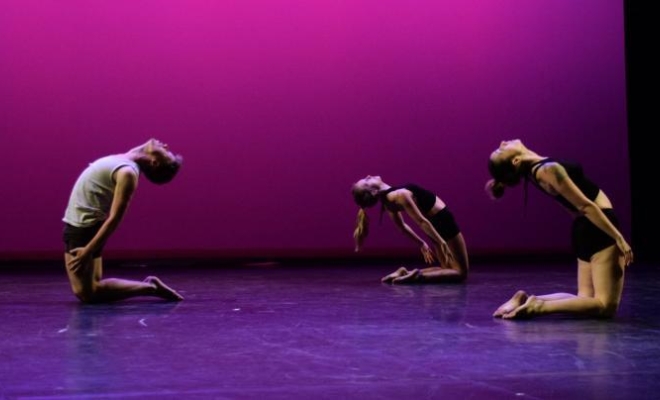 La vie en chanson - show Nilda danseurs samedi 17 juin 2017, Montceau-les-Mines, Centre de Danse Nilda Dance